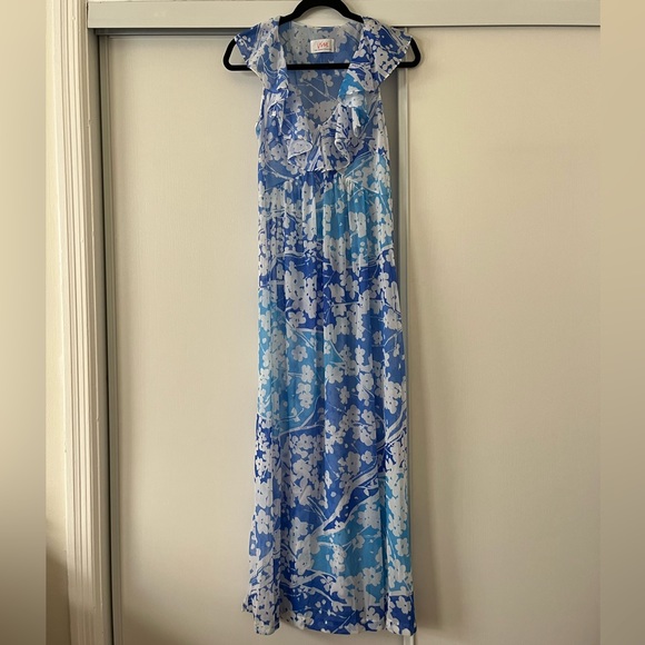 Vintage 70s Vera Maxi Dress - blue floral - Picture 2 of 7